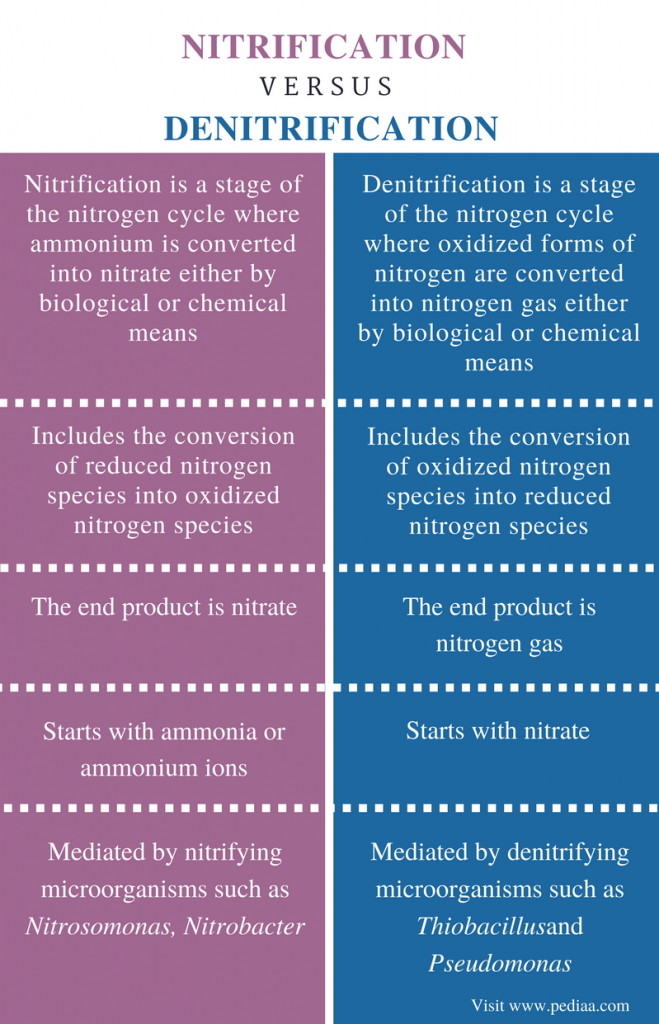 nitrification-definition-equation-process-diagram