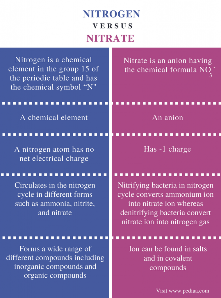 Difference Between Nitrogen And Nitrate Definition Chemical Properties And Differences 3987