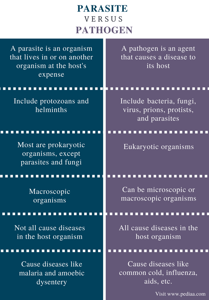 difference-between-parasite-and-pathogen-definition-features