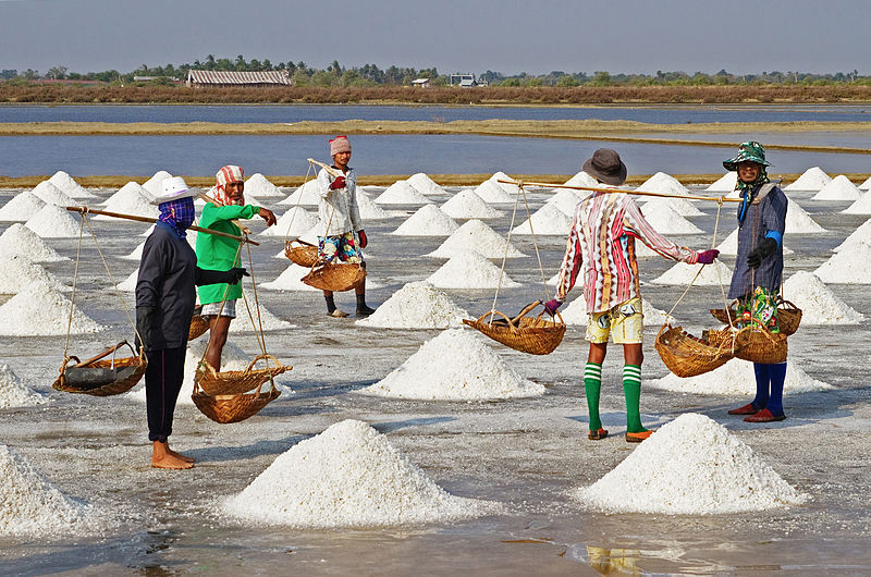 Main Difference - Salt vs Epsom Salt