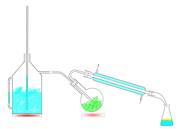 Difference Between Steam Distillation and Fractional Distillation_Figure 1