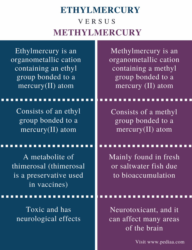 Difference Between Ethylmercury and Methylmercury – Pediaa.Com