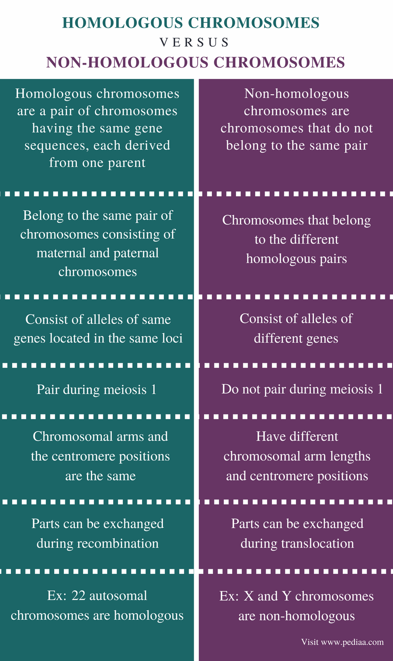 Difference Between Homologous and Non-homologous Chromosomes - Comparison Summary