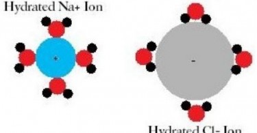 Difference Between Hydrolysis and Hydration
