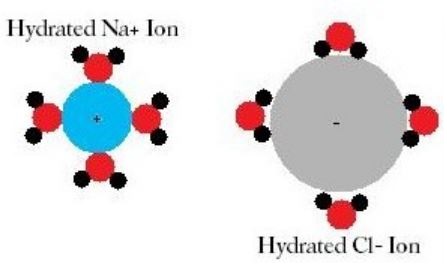 Difference Between Hydrolysis and Hydration