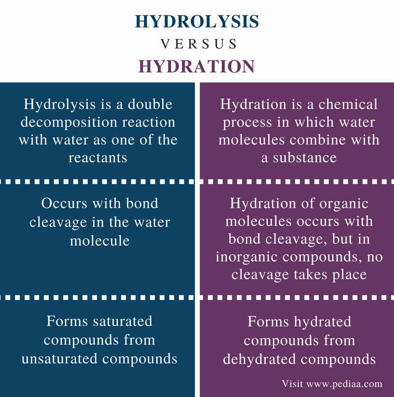 อะไร คือ Hydrolysis