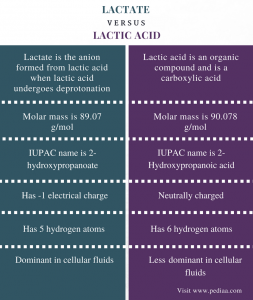 Difference Between Lactate and Lactic Acid | Definition, Chemical ...