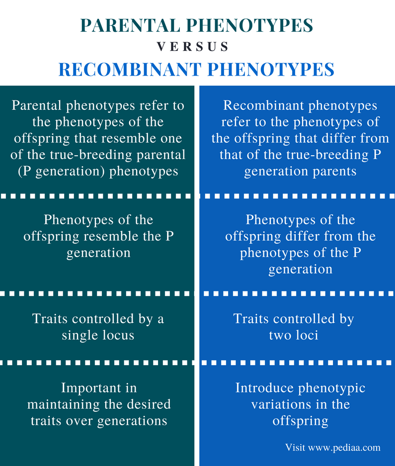 Distinguish Between Parental and Recombinant Phenotypes | Definition ...