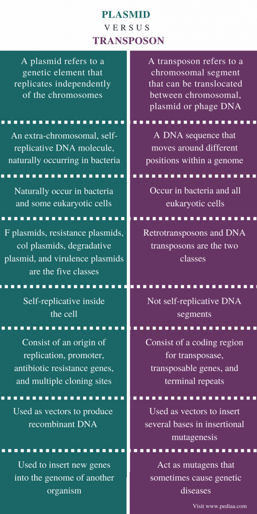 Difference Between Plasmid and Transposon | Definition, Classes