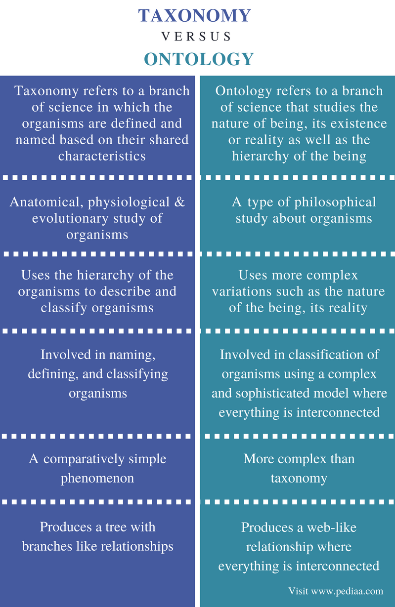 Difference Between Taxonomy and Ontology - Comparison Summary