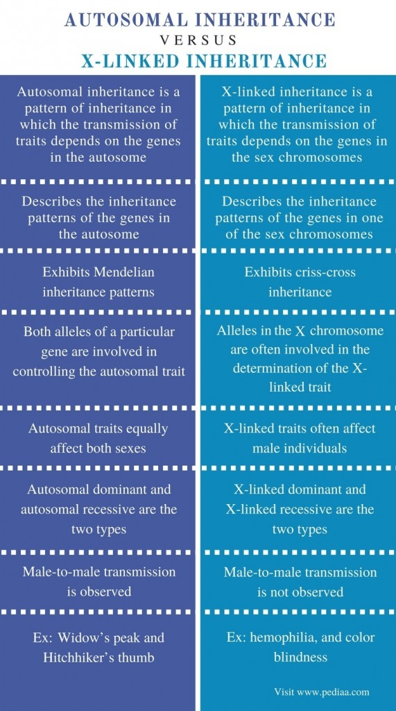 difference-between-autosomal-and-x-linked-inheritance-definition