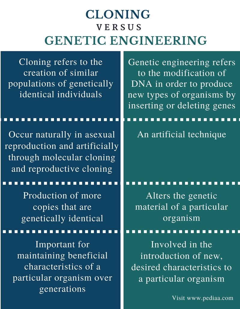 Difference Between Cloning and Genetic Engineering | Definition, Types ...