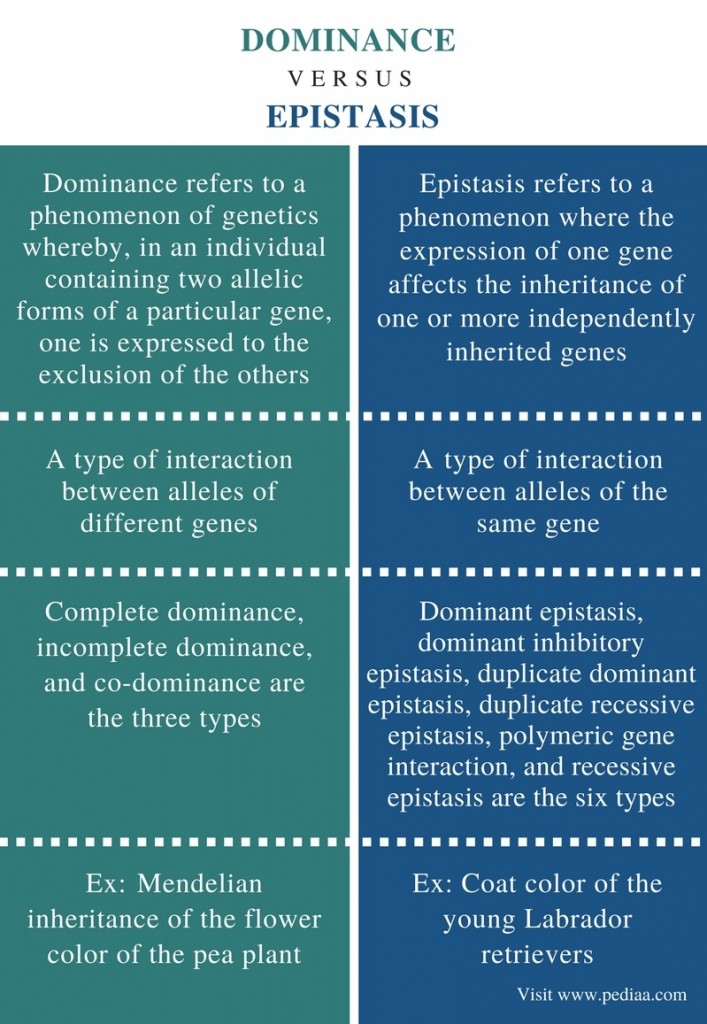 what is the definition of dominance variance