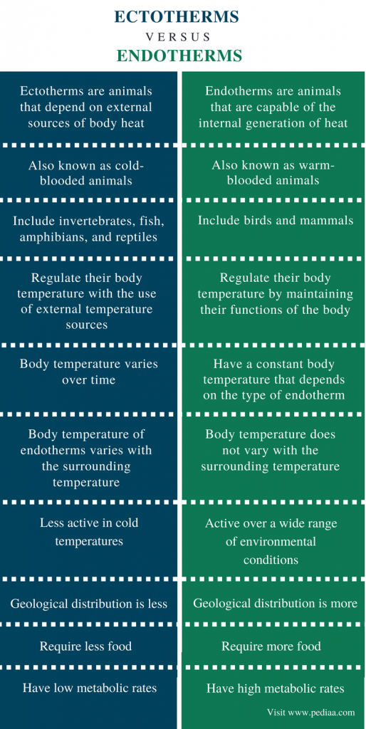 Difference Between Ectotherms and Endotherms | Definition