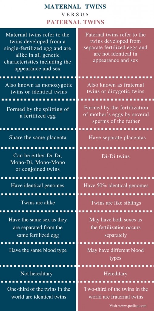 Difference Between Maternal and Paternal Twins Definition, Formation, Characteristics and