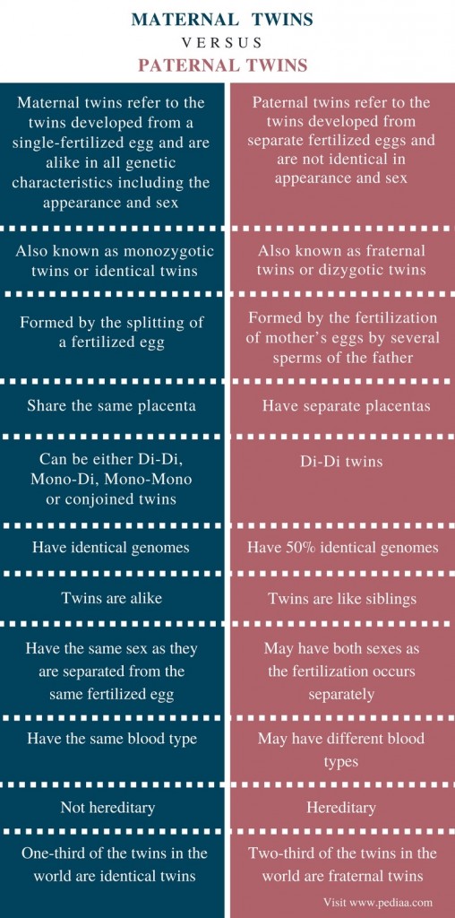 Difference Between Maternal And Paternal Twins Definition Formation 