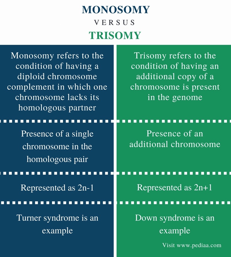 Difference Between Monosomy and Trisomy - Comparison Summary