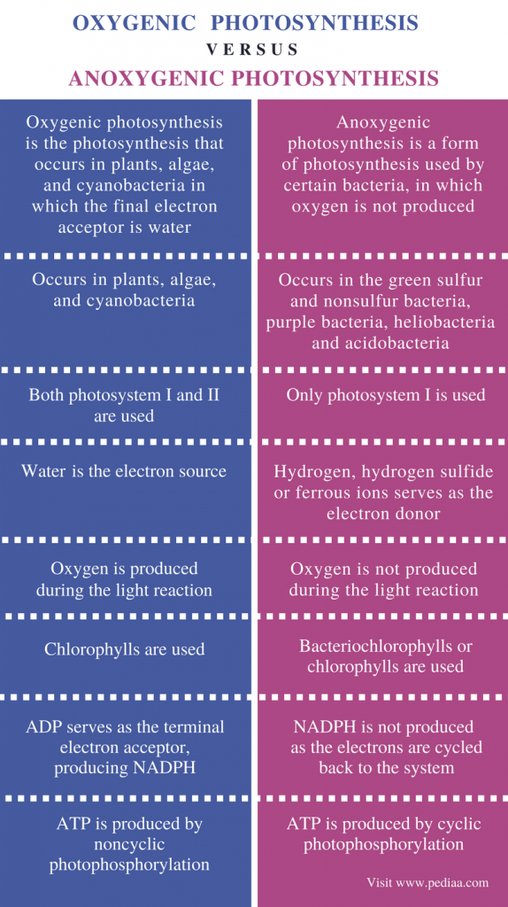 difference-between-oxygenic-and-anoxygenic-photosynthesis-definition