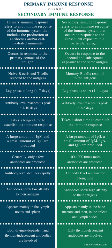 Difference Between Primary And Secondary Immune Response Definition Facts Antibodies And 