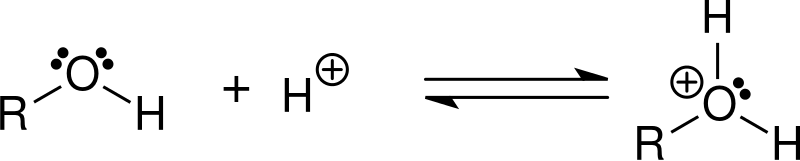 Main Difference - Protonation vs Deprotonation