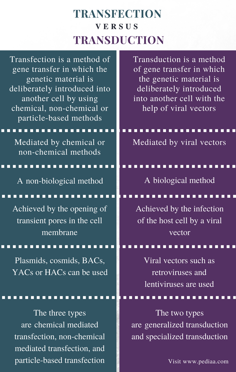 Difference Between Transfection and Transduction | Definition