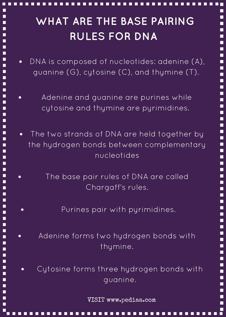 what-are-the-base-pairing-rules-for-dna-pediaa-com