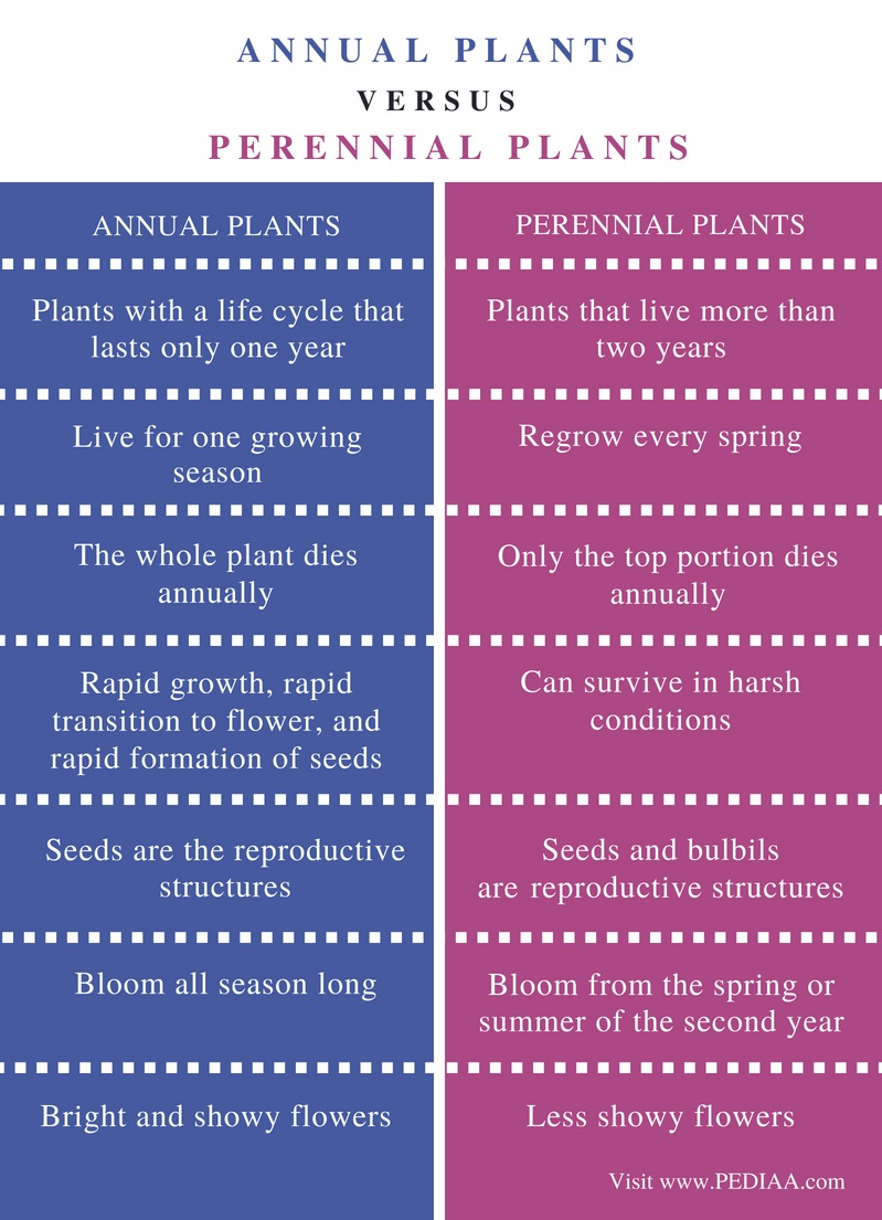 Difference Between Annual and Perennial Plants - Pediaa.Com