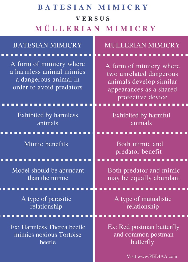 Difference Between Batesian And Mullerian Mimicry - Pediaa.Com