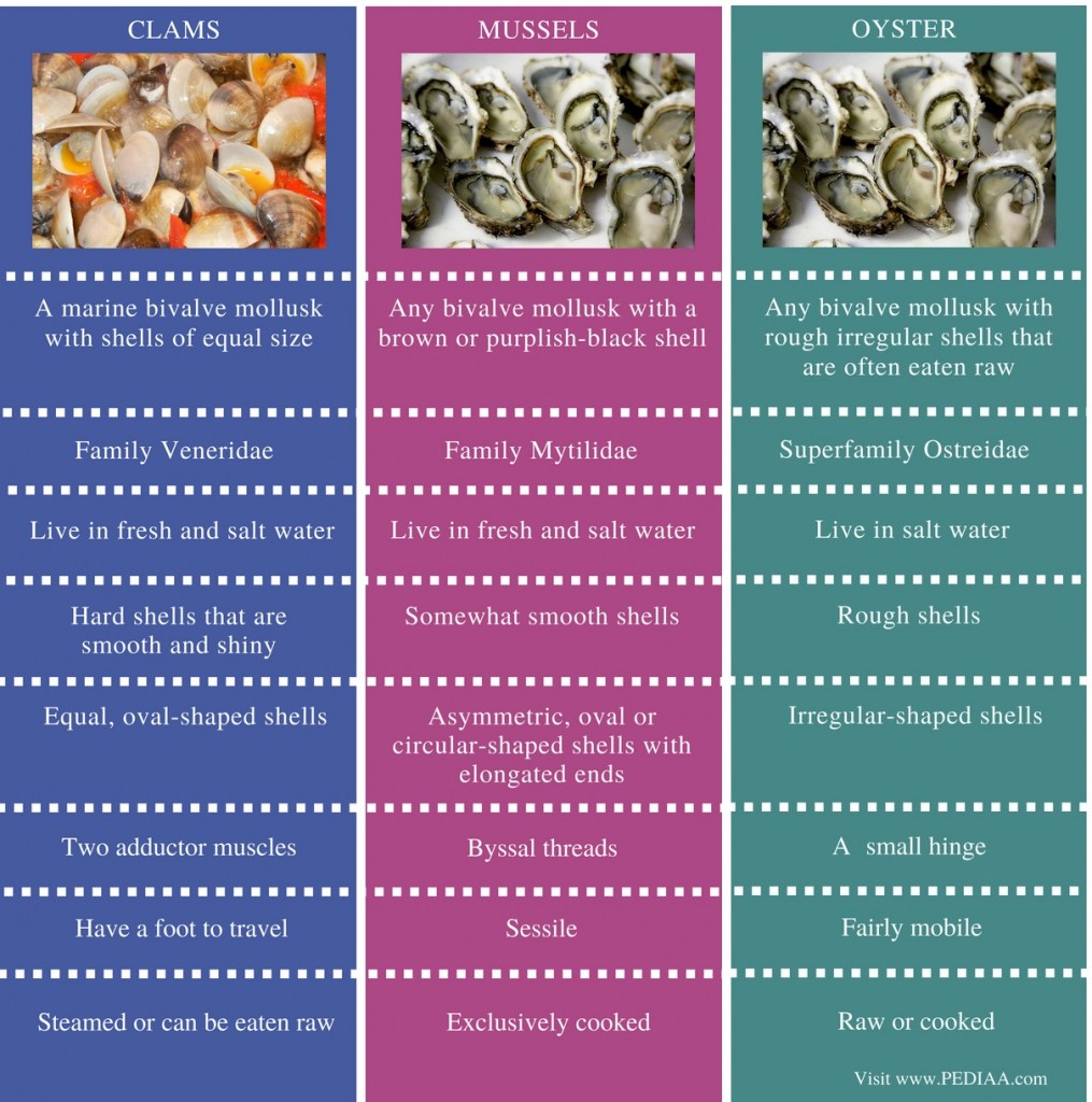 Difference Between Clams Mussels and Oysters