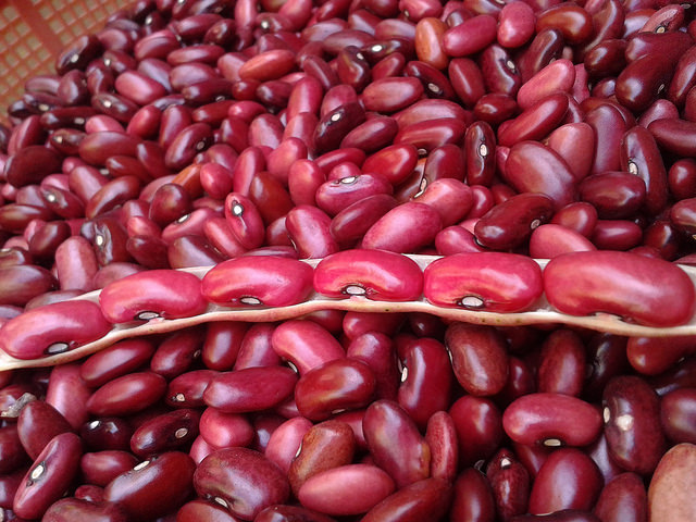 Main Difference - Lentils and Beans