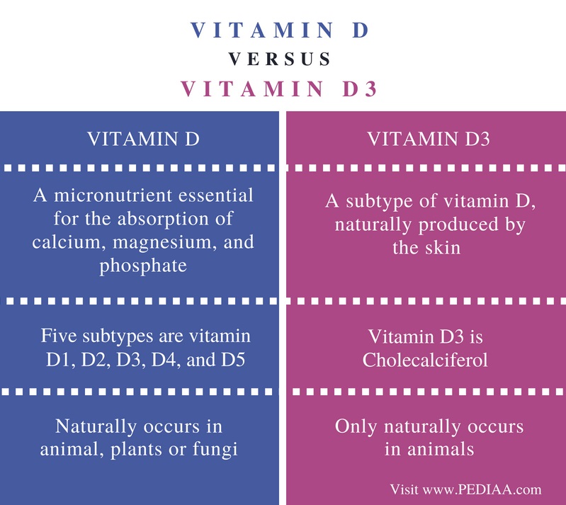Difference Between Vitamin D And Vitamin D3 Importance Sources And 