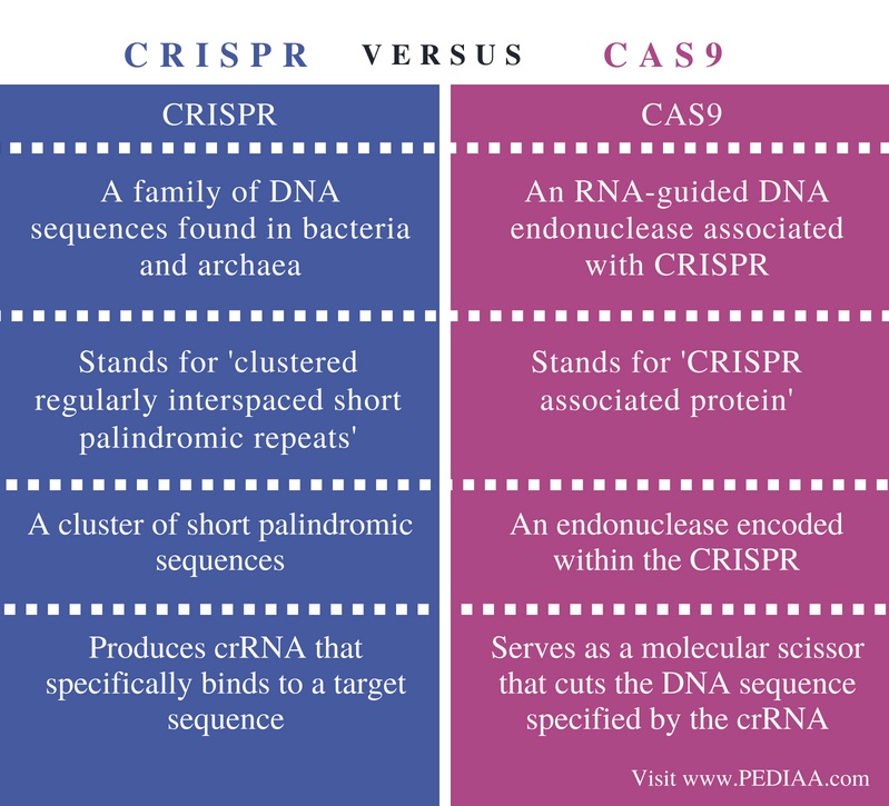 Difference Between CRISPR and Cas9 - Pediaa.Com