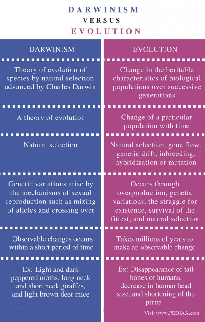 difference-between-darwinism-and-evolution-pediaa-com