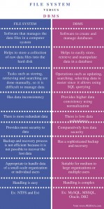 Difference Between File System and DBMS in Tabular Form - Pediaa.Com