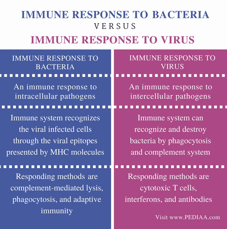 Difference Between Immune Response to Bacteria and Virus- Comparison Summary