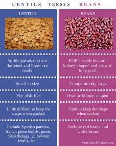 Difference Between Lentils And Beans - Pediaa.Com