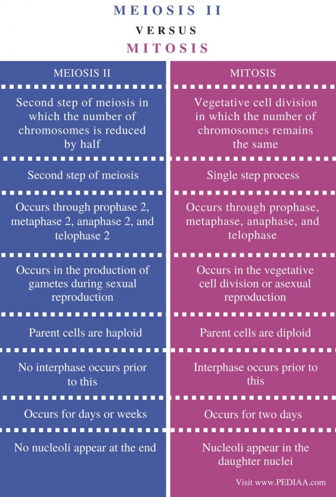 What is the Difference Between Meiosis II and Mitosis - Pediaa.Com