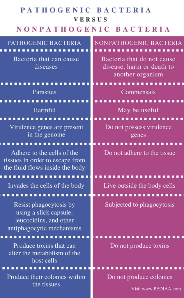 Difference Between Pathogenic And Nonpathogenic Bacteria Pediaa Com