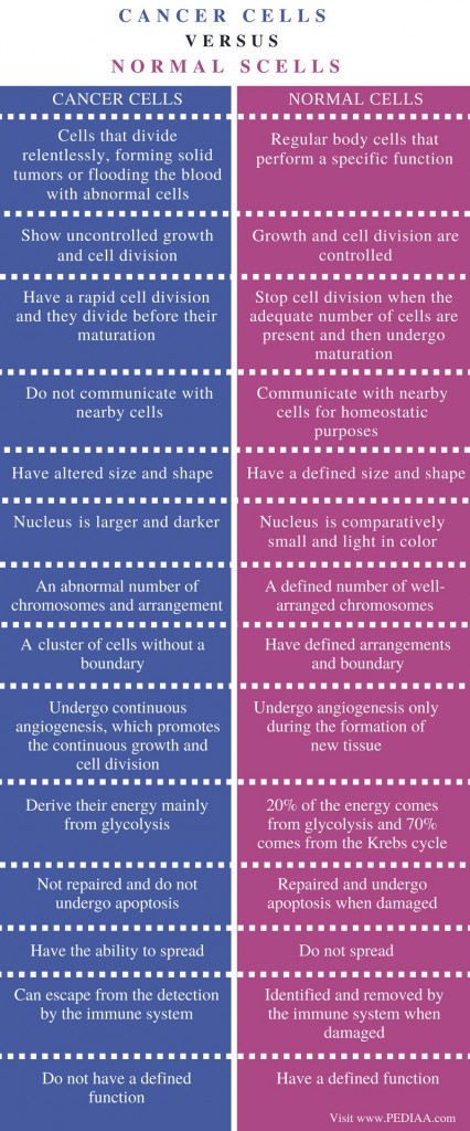 What is the Difference Between Cancer Cells and Normal Cells - Pediaa.Com