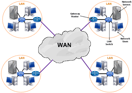 Difference Between LAN MAN and WAN - Pediaa.Com