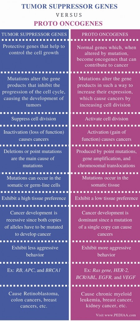 difference-between-tumor-suppressor-genes-and-proto-oncogenes-pediaa-com