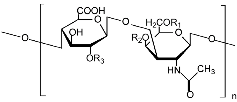 Main Difference - Glucosamine Sulfate and Glucosamine Chondroitin