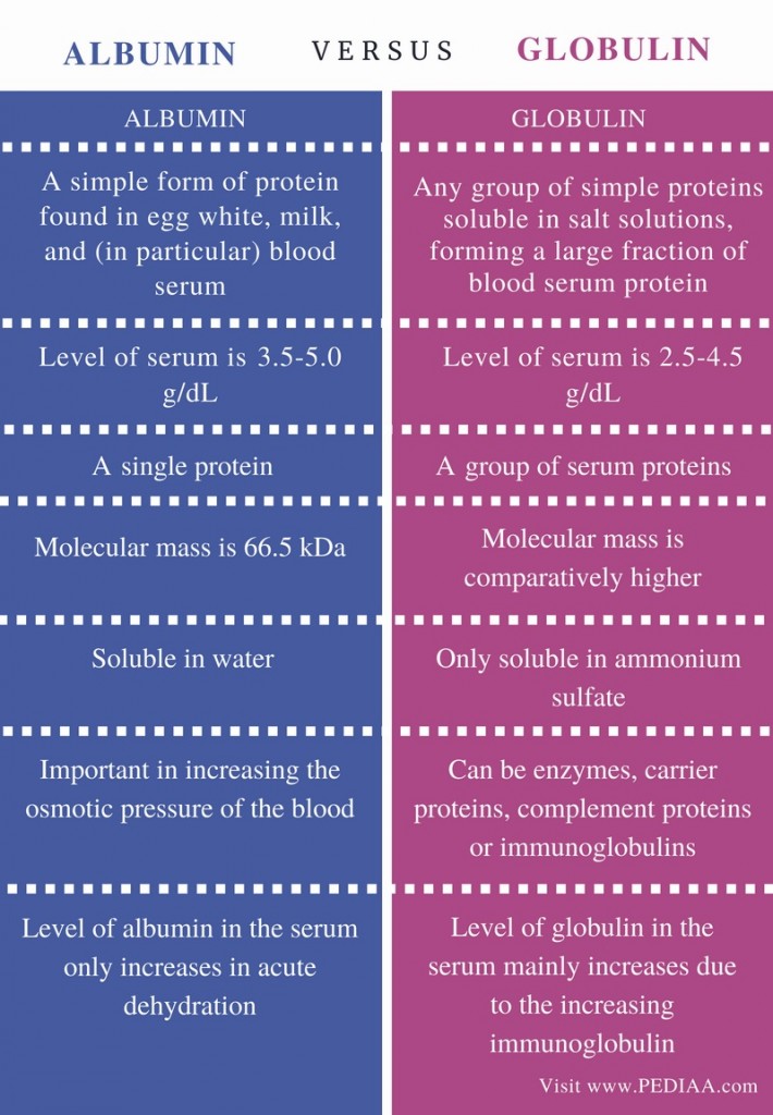 Difference Between Albumin and Globulin