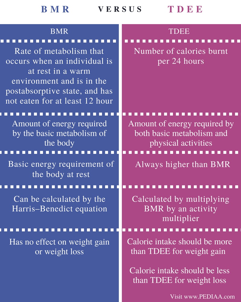 Difference Between BMR and TDEE - Comparison Summary