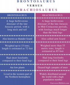 brachiosaurus brontosaurus difference