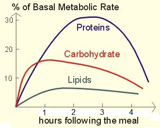 Difference Between Carbs And Calories - Pediaa.Com