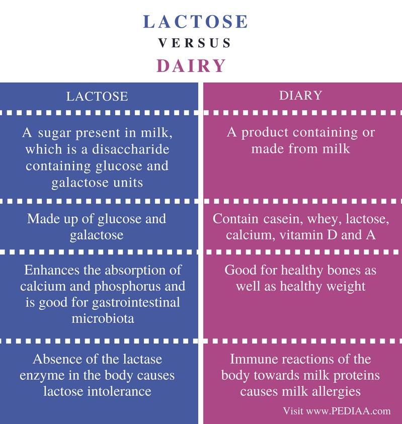 Difference Between Lactose and Dairy- Comparison Summary