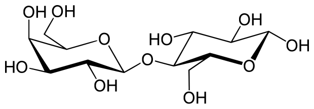 Difference Between Lactose and Dairy_Figure 01