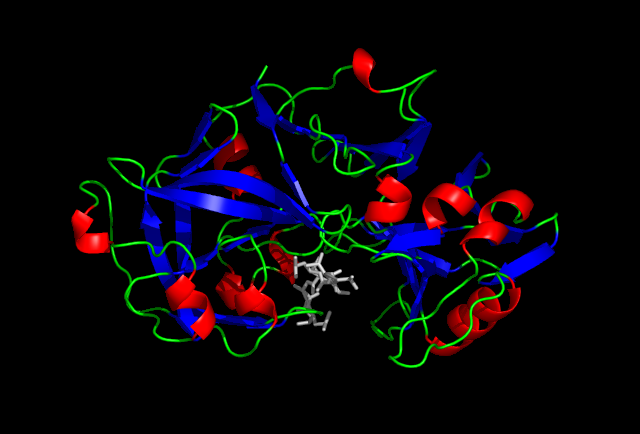 difference-between-pepsin-and-trypsin-pediaa-com