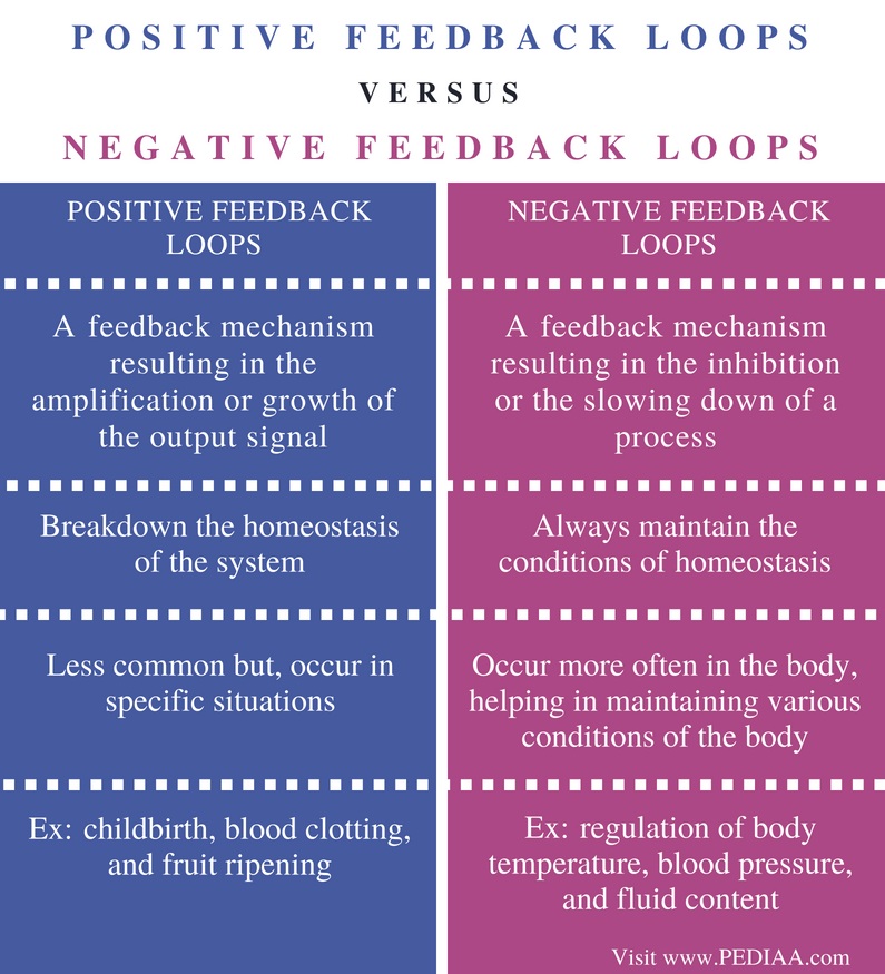 Difference Between Positive and Negative Feedback Loops - Comparison Summary